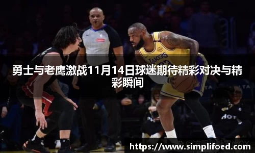 勇士与老鹰激战11月14日球迷期待精彩对决与精彩瞬间